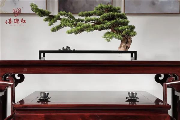 喜迎紅紅木 喜迎紅紅木