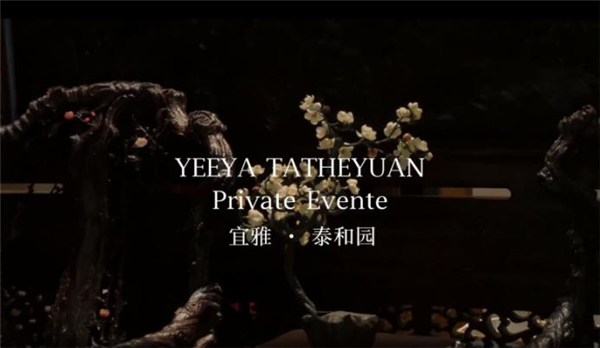 泰和園，認(rèn)真深耕東方藝術(shù)的品牌