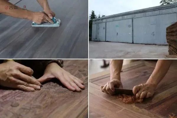 古森紅木 古森紅木