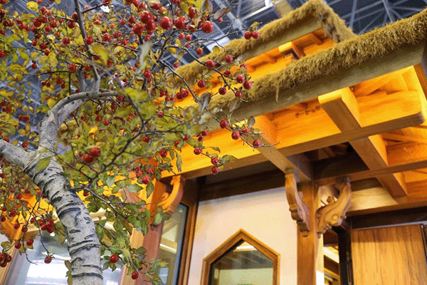 明堂家居：從斗室到“斗方” ，雕琢現(xiàn)代人的“夢(mèng)中情房”