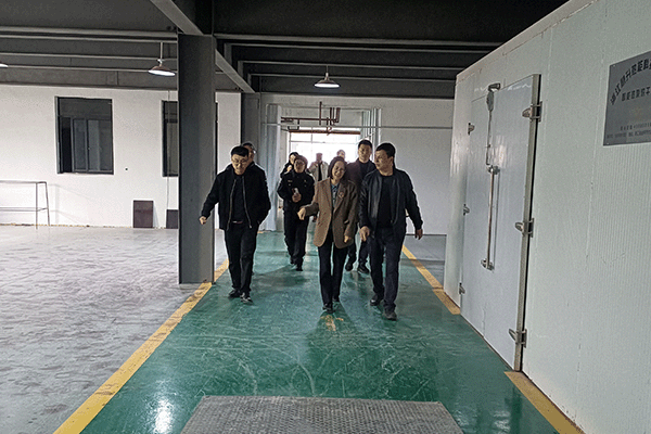 東陽市副市長龔杭娟(中)一行在董事長陸飛躍(右)的陪同下參觀喜迎紅紅木工廠 東陽市副市長龔杭娟(中)一行在董事長陸飛躍(右)的陪同下參觀喜迎紅紅木工廠