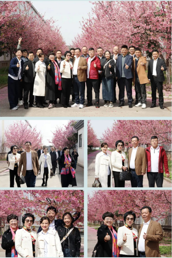 眾人一同賞櫻并合影留念