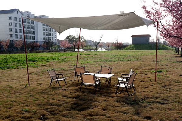 在紅木精品融合圍爐煮茶的樂趣中，感受國壽家文化的魅力