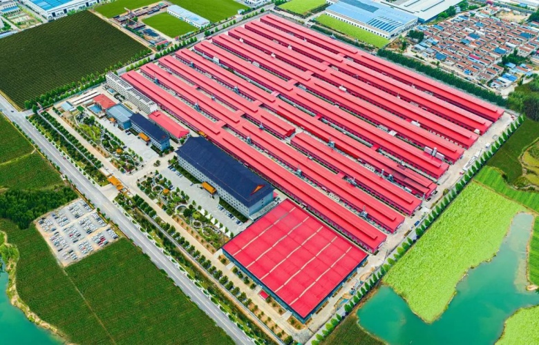 大國紅木品牌之聲|張愛冬：堅(jiān)持匠造精品紅木，無愧于巧奪天工之名