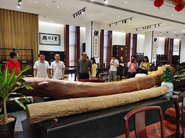 林慶財(cái)大師收藏的上乘海南黃花梨原木 林慶財(cái)大師收藏的上乘海南黃花梨原木