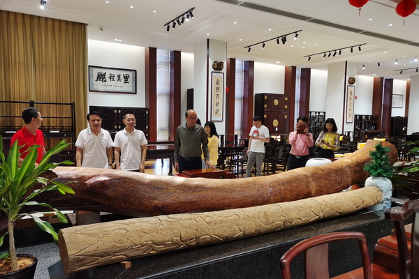 行業(yè)同仁參觀林慶財大師收藏的黃花梨木材 行業(yè)同仁參觀林慶財大師收藏的黃花梨木材
