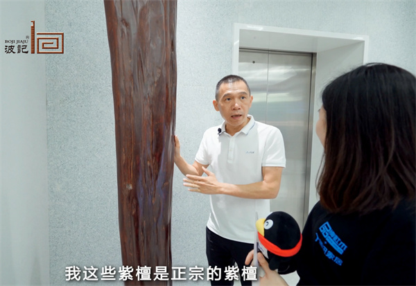 波記家具 波記家具