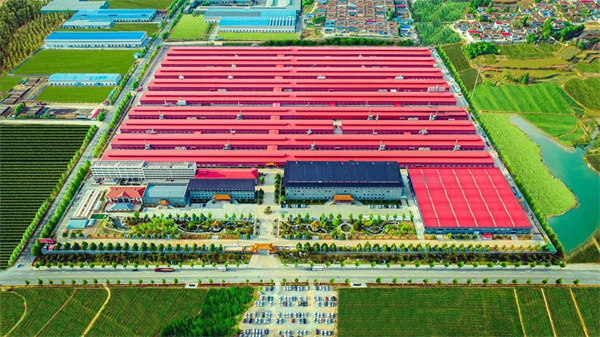 巧奪天工大國工廠