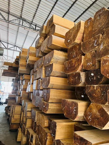 明清閣采用“萬木之王”緬甸柚木,擁有天然抑菌防螨等特性 明清閣采用“萬木之王”緬甸柚木,擁有天然抑菌防螨等特性