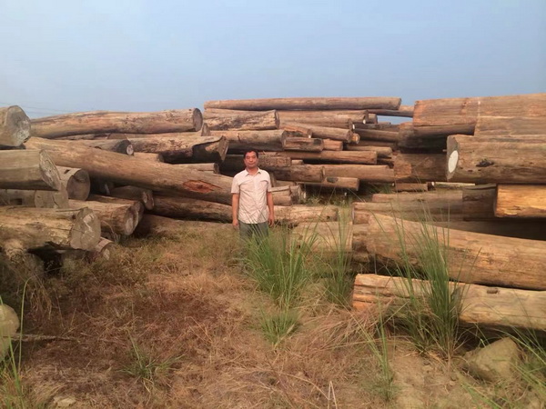 華夏一品紅木：精工匠藝，鑄就傳世紅木家具典范